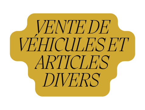 VeNte de véhicules et articles divers
